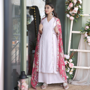 Cheveron pattern georgette suit with mirror embroiderd, paired with printed organza dupatta